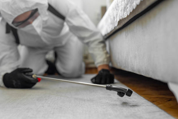 Professional Bed Bug Control technician working in Aquebogue, NY