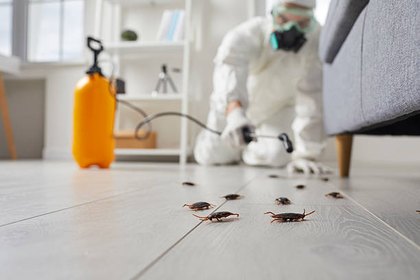Trusted Fumigation Services service in Aquebogue, NY - Nex Pest Control