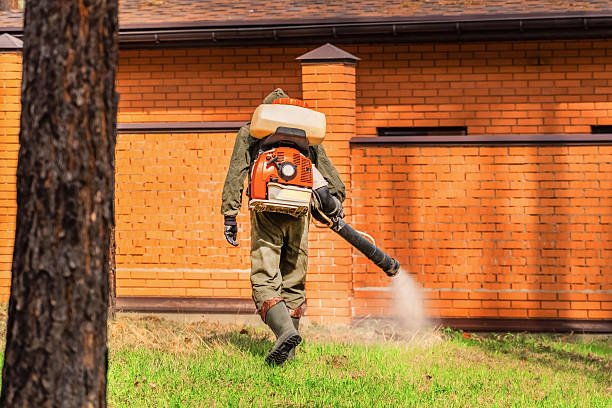 Trusted Termite Control service in Aquebogue, NY - Nex Pest Control
